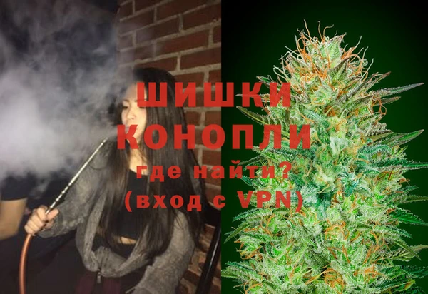 шишки Покровск
