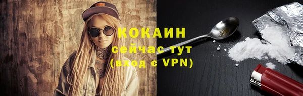 шишки Покровск