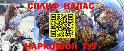 твердый Кингисепп