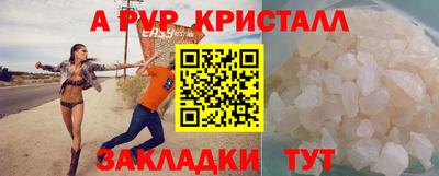 твердый Кингисепп