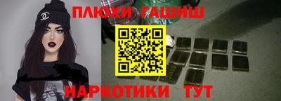 твердый Кингисепп