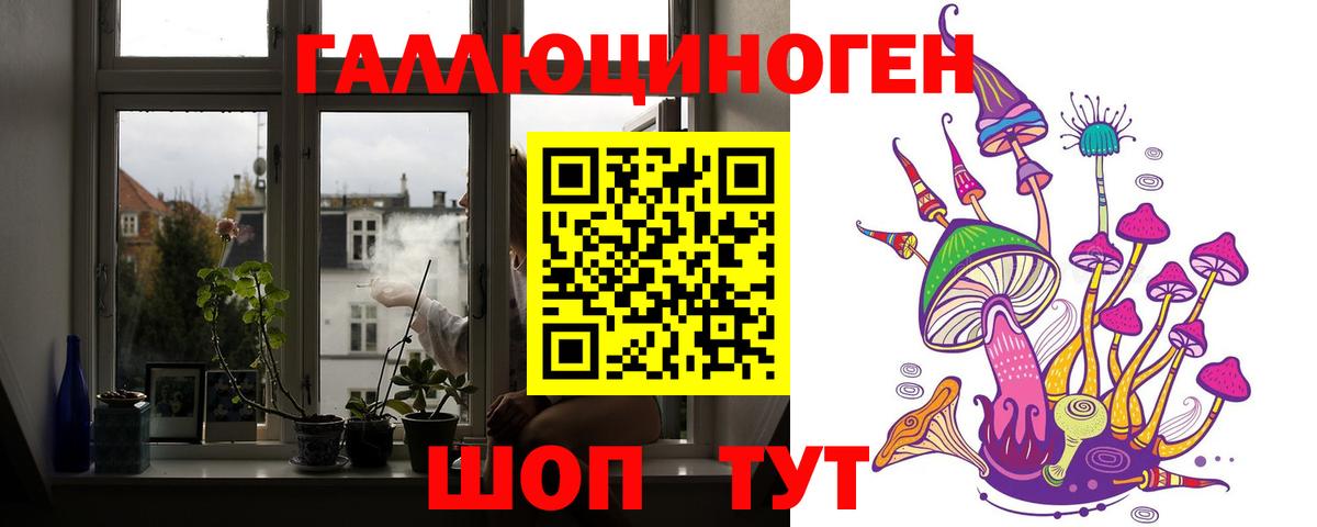 Псилоцибиновые грибы Psilocybe Кумертау